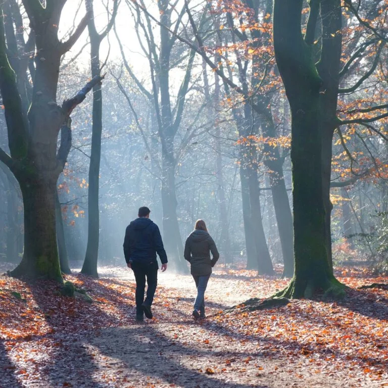 Découvrir la thérapie « Walk and Talk » : une nouvelle voie vers le bien-être
