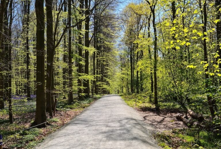 Groupe de parole burn-out