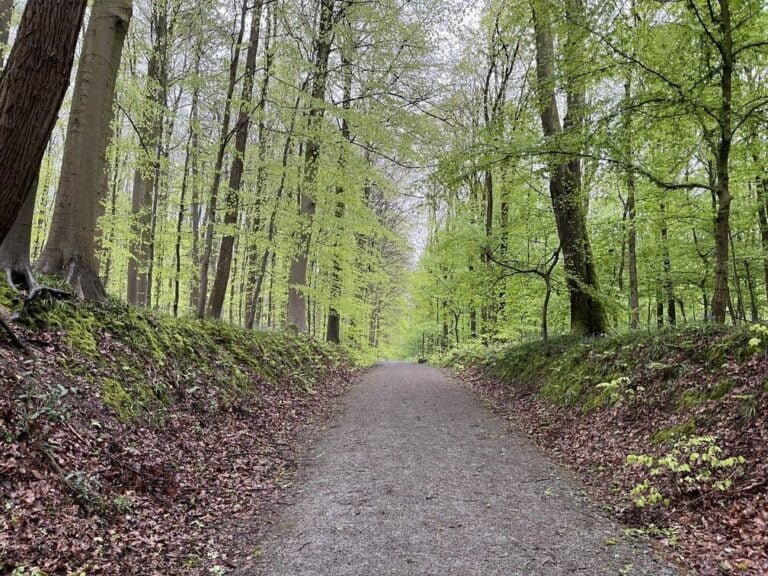 Groupe de parole burn-out